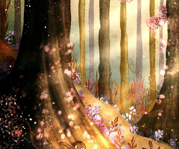 Sehrli Meşədə İlk Addım